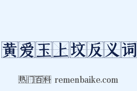 黄爱玉上坟反义词是什么意思的图片